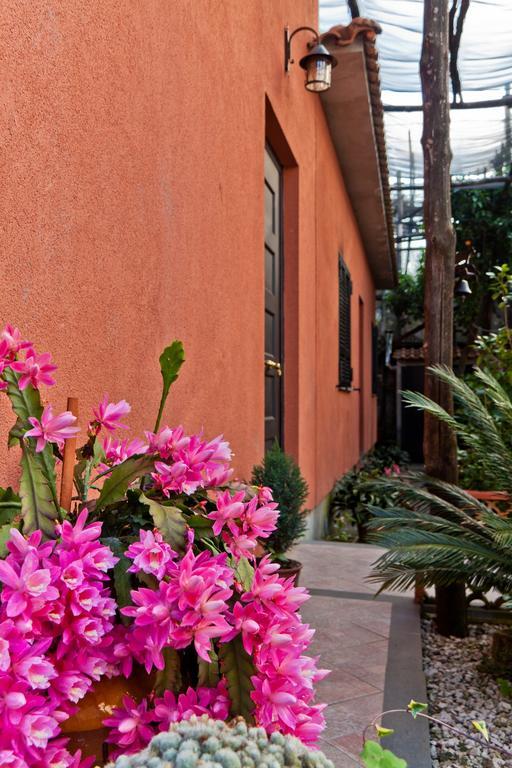 La Maison De Titty & Margherita Piano di Sorrento Eksteriør bilde