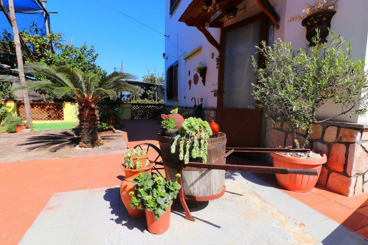 La Maison De Titty & Margherita Piano di Sorrento Eksteriør bilde