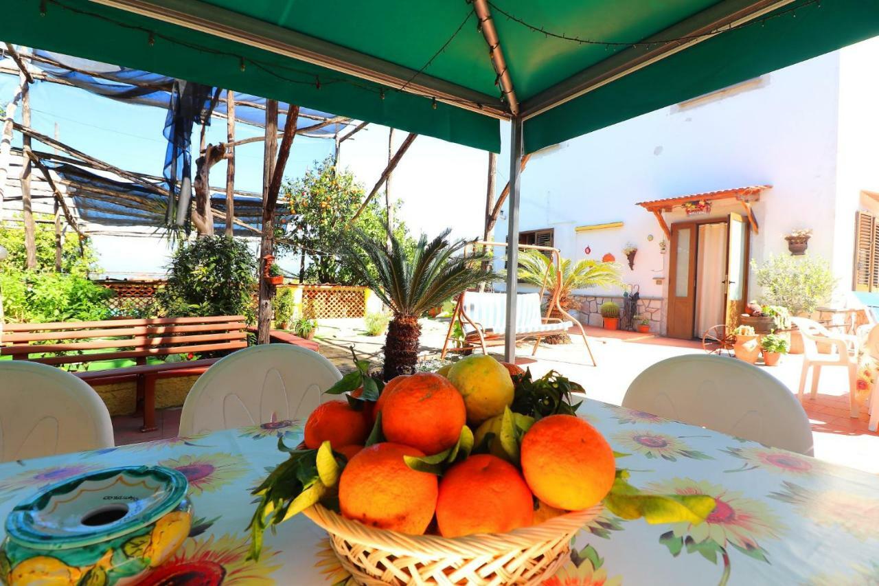 La Maison De Titty & Margherita Piano di Sorrento Eksteriør bilde